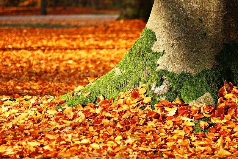 Facebook的图标设计